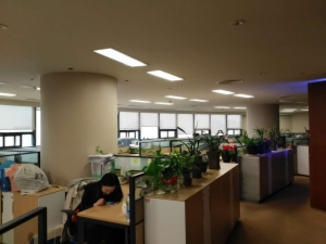 海楼网