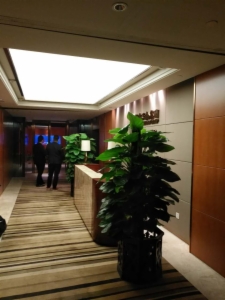 海楼网