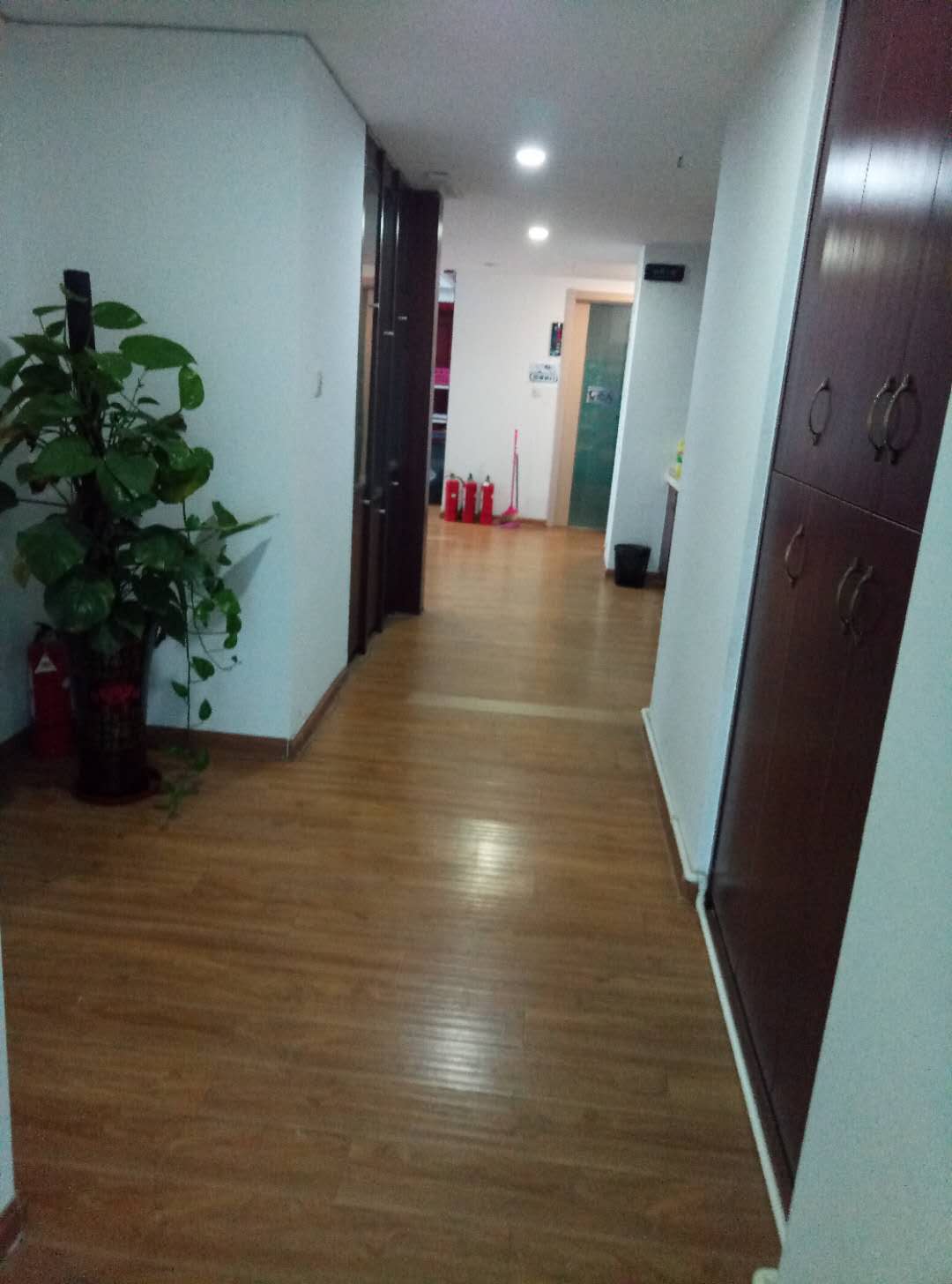 海楼网