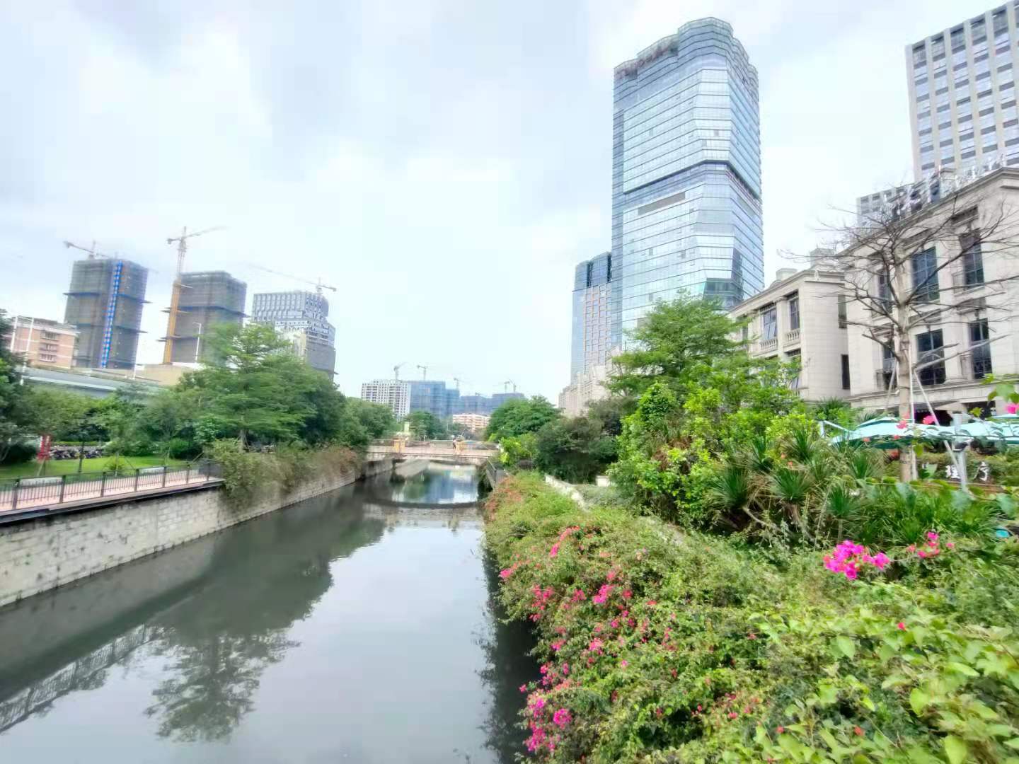 海楼网