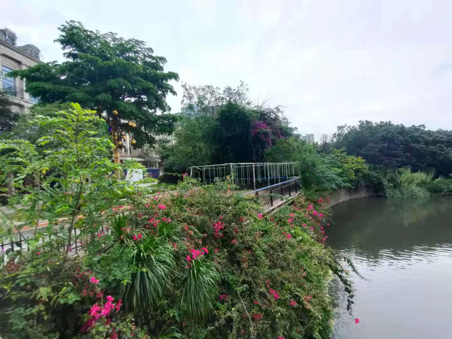 海楼网
