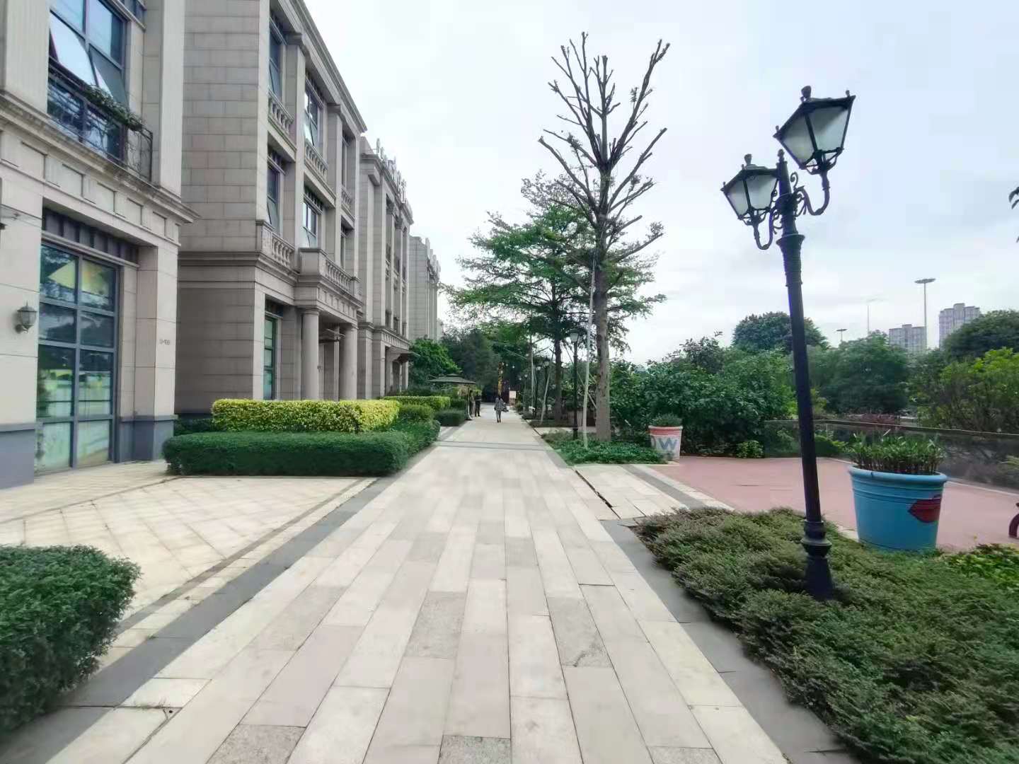 海楼网