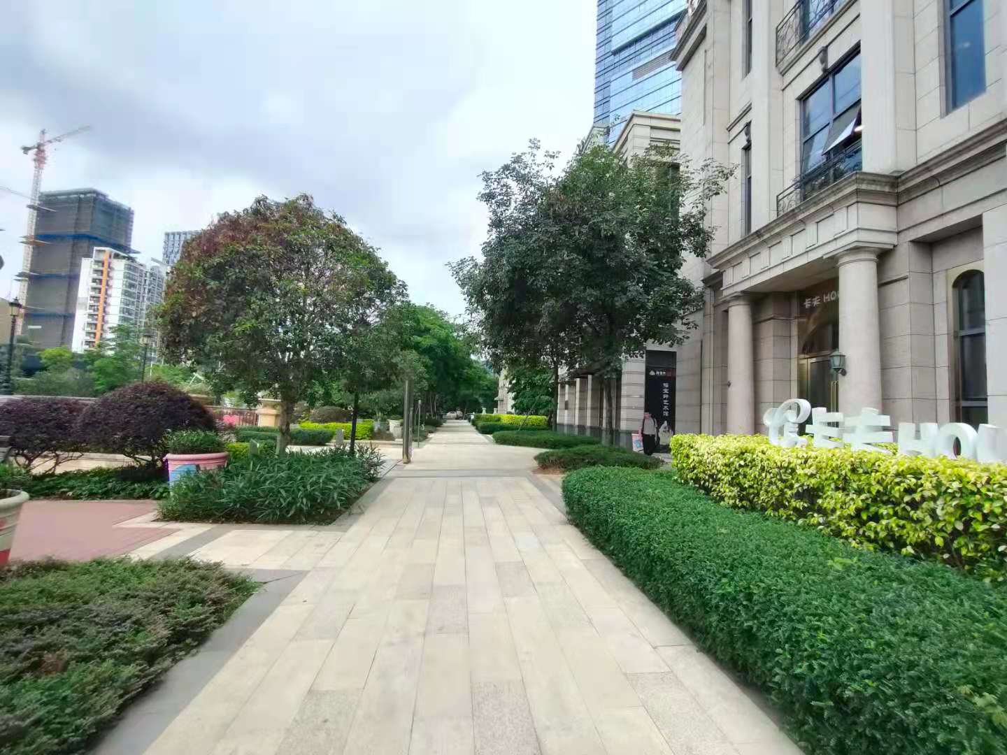 海楼网