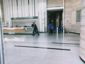 海楼网