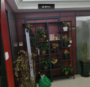 海楼网