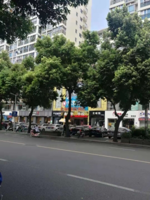 海楼网