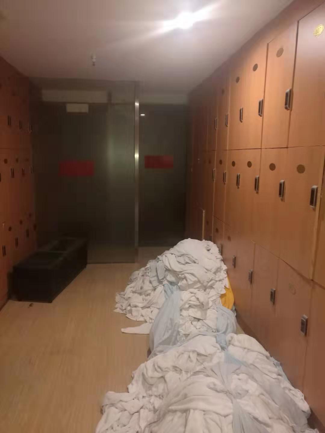 海楼网
