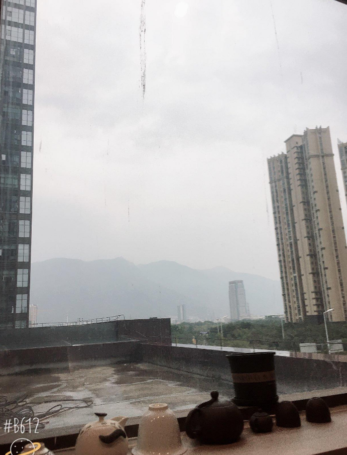 海楼网