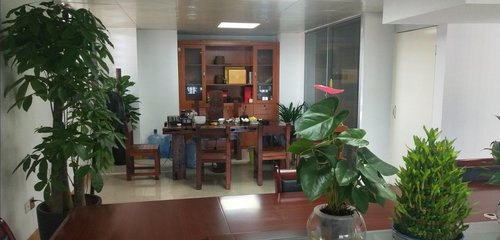 海楼网