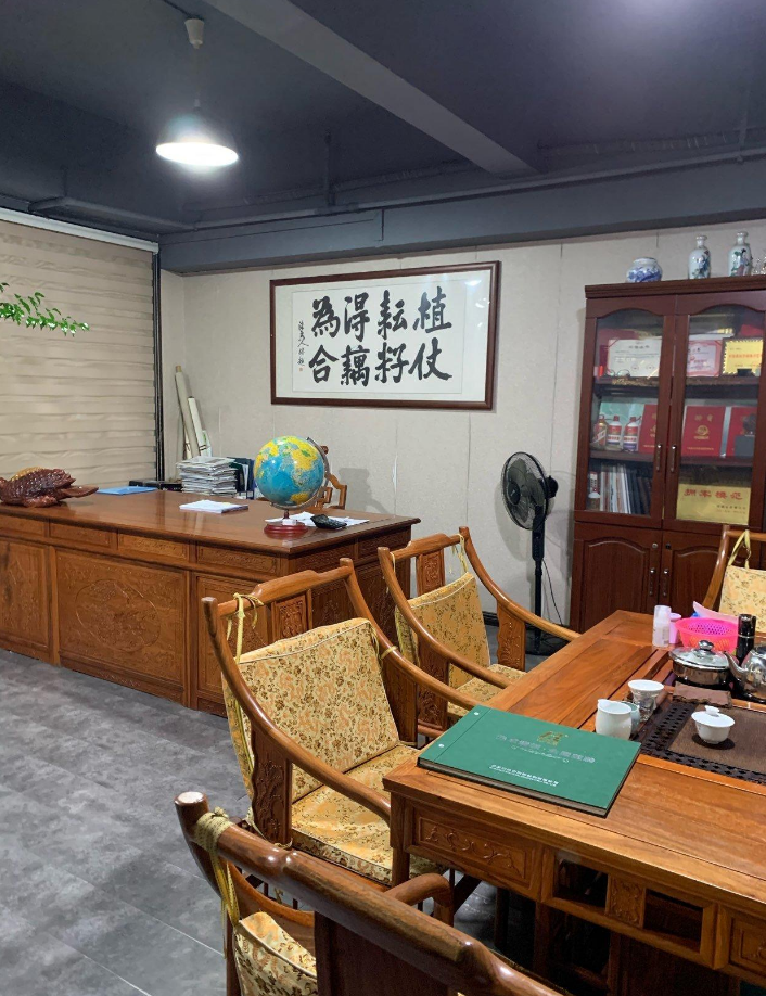 海楼网