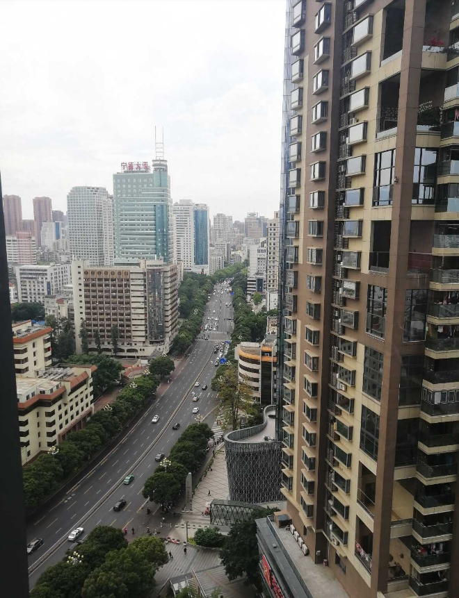 海楼网