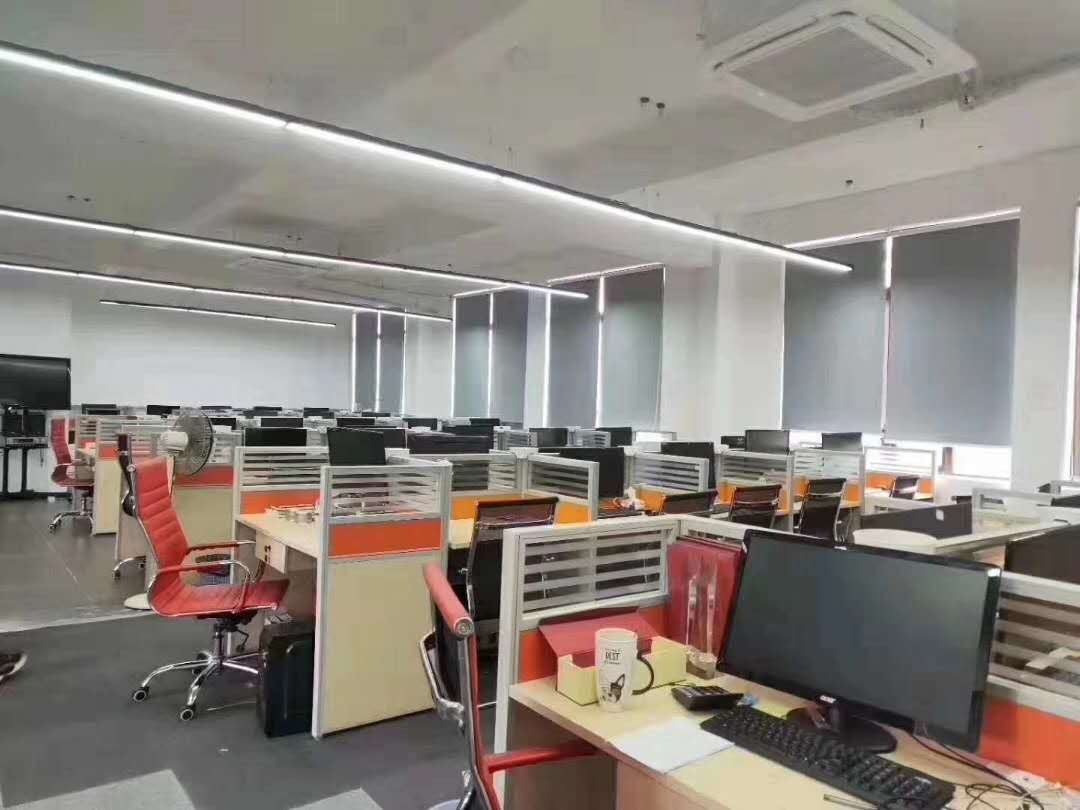 海楼网