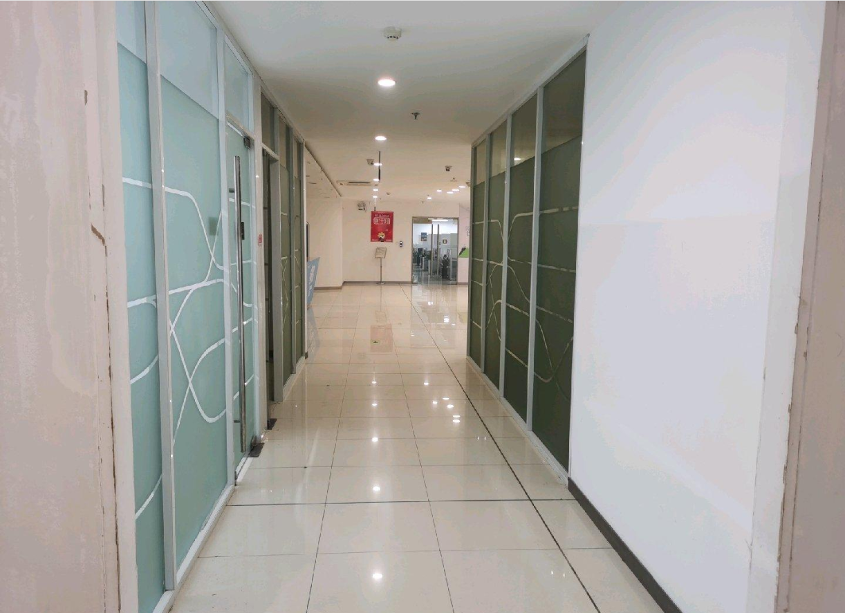 海楼网