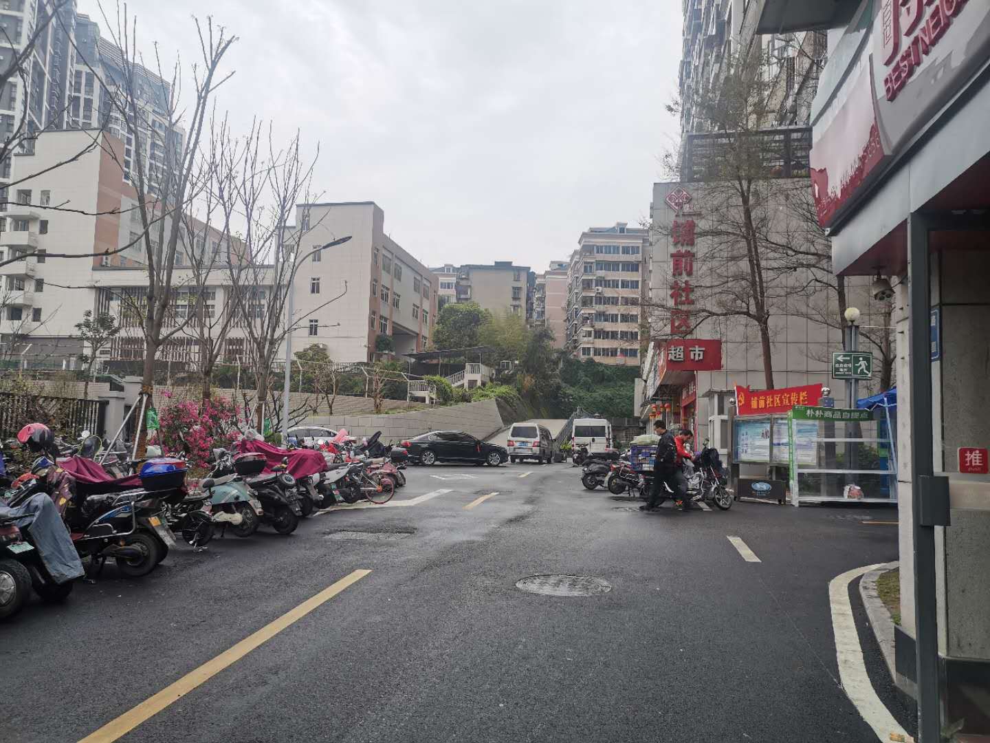 海楼网
