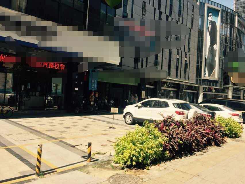 海楼网