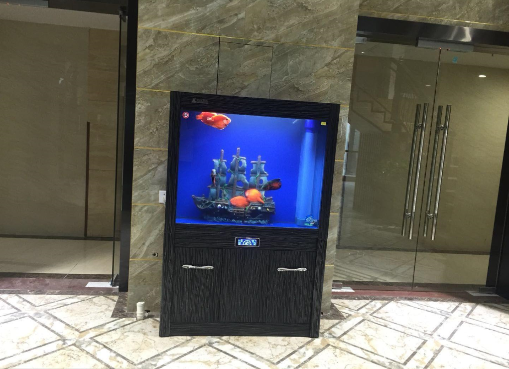 海楼网