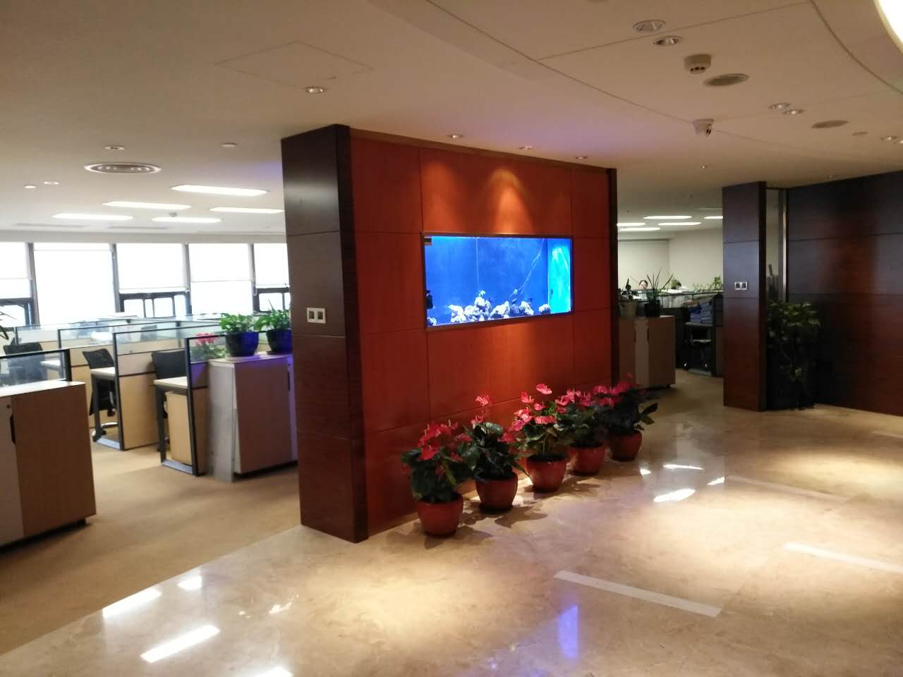 海楼网