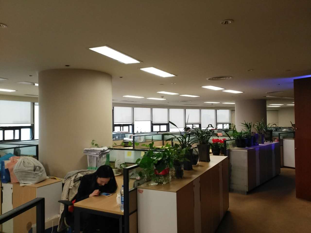 海楼网