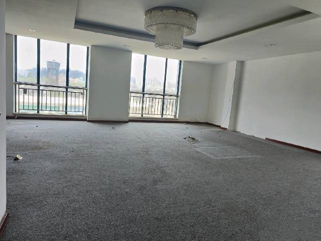 海楼网